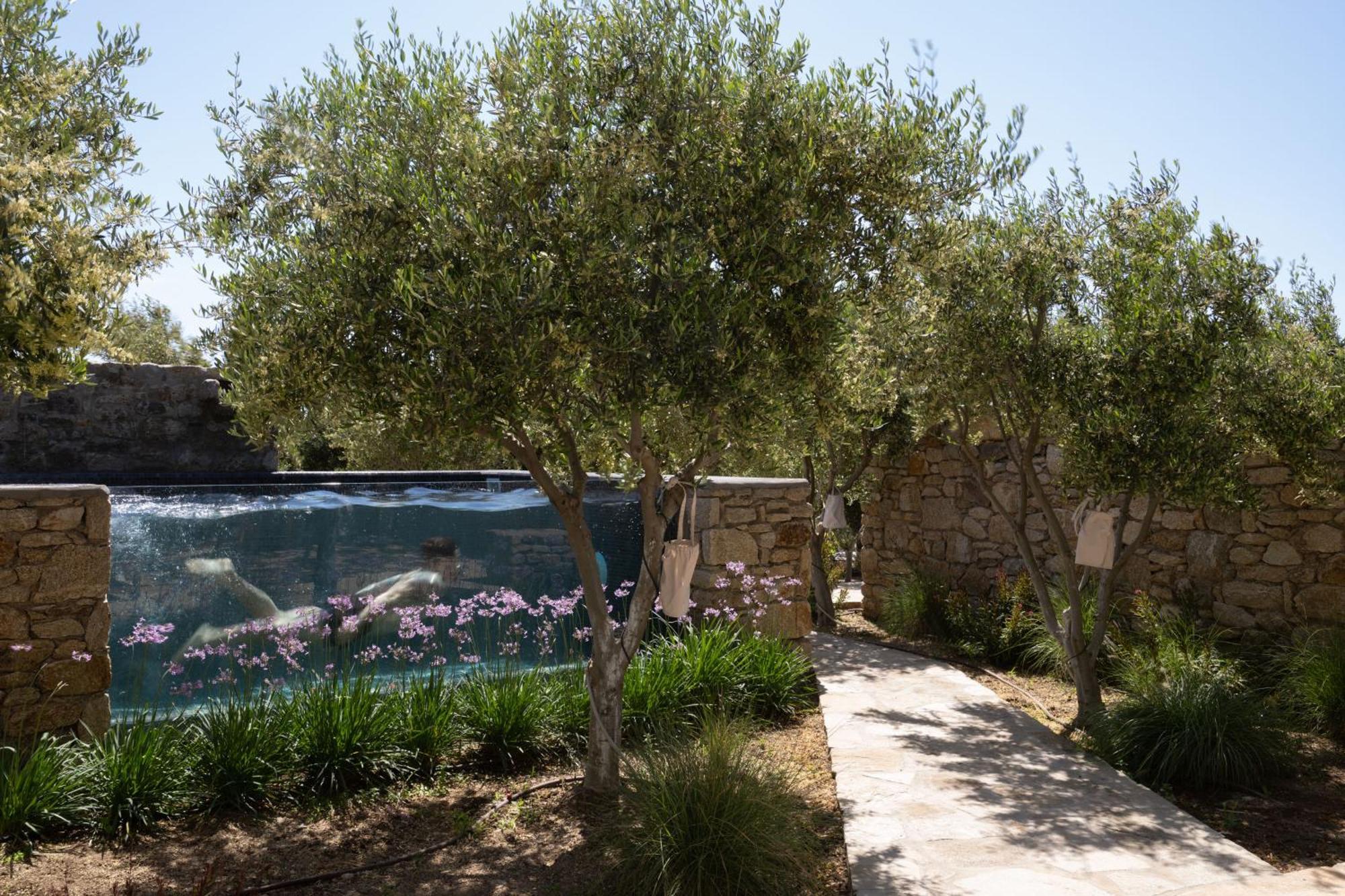 Ikies Of Mykonos Bed & Breakfast Mykonos Town Exterior photo